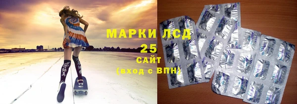 шишки Белокуриха
