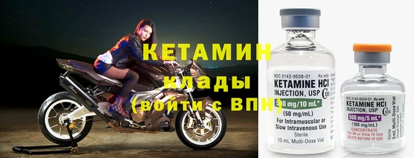 шишки Белокуриха