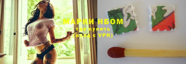 шишки Богородицк