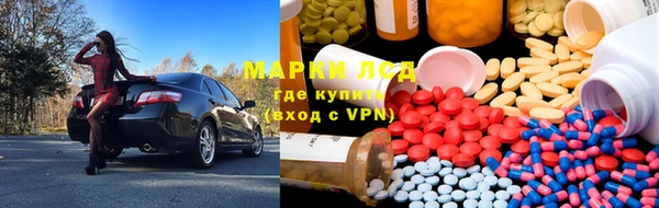 шишки Богородицк