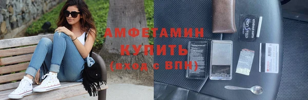 шишки Белокуриха