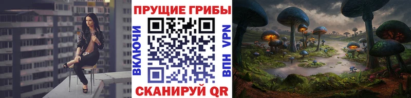 Псилоцибиновые грибы мицелий  Болхов 