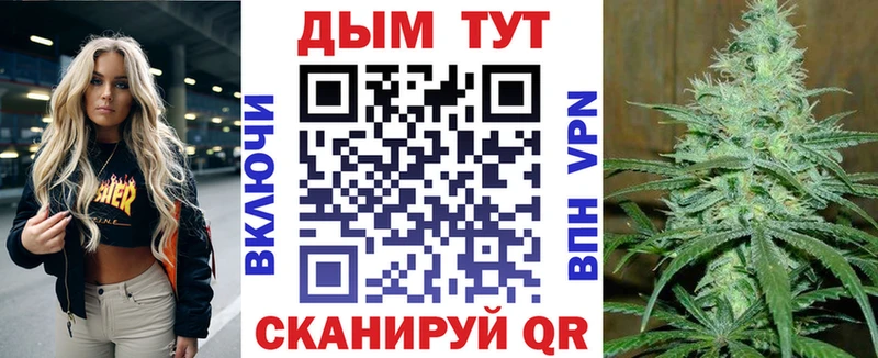 Конопля гибрид  Болхов 